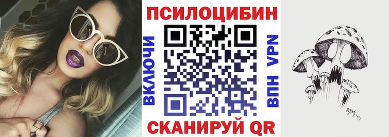 Псилоцибиновые грибы мицелий  где можно купить   Шарыпово 