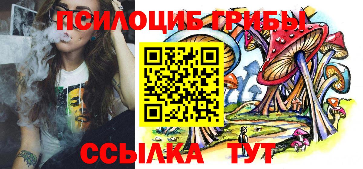 Псилоцибиновые грибы Cubensis Шарыпово